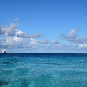 种公猪配美女图片大全大图
